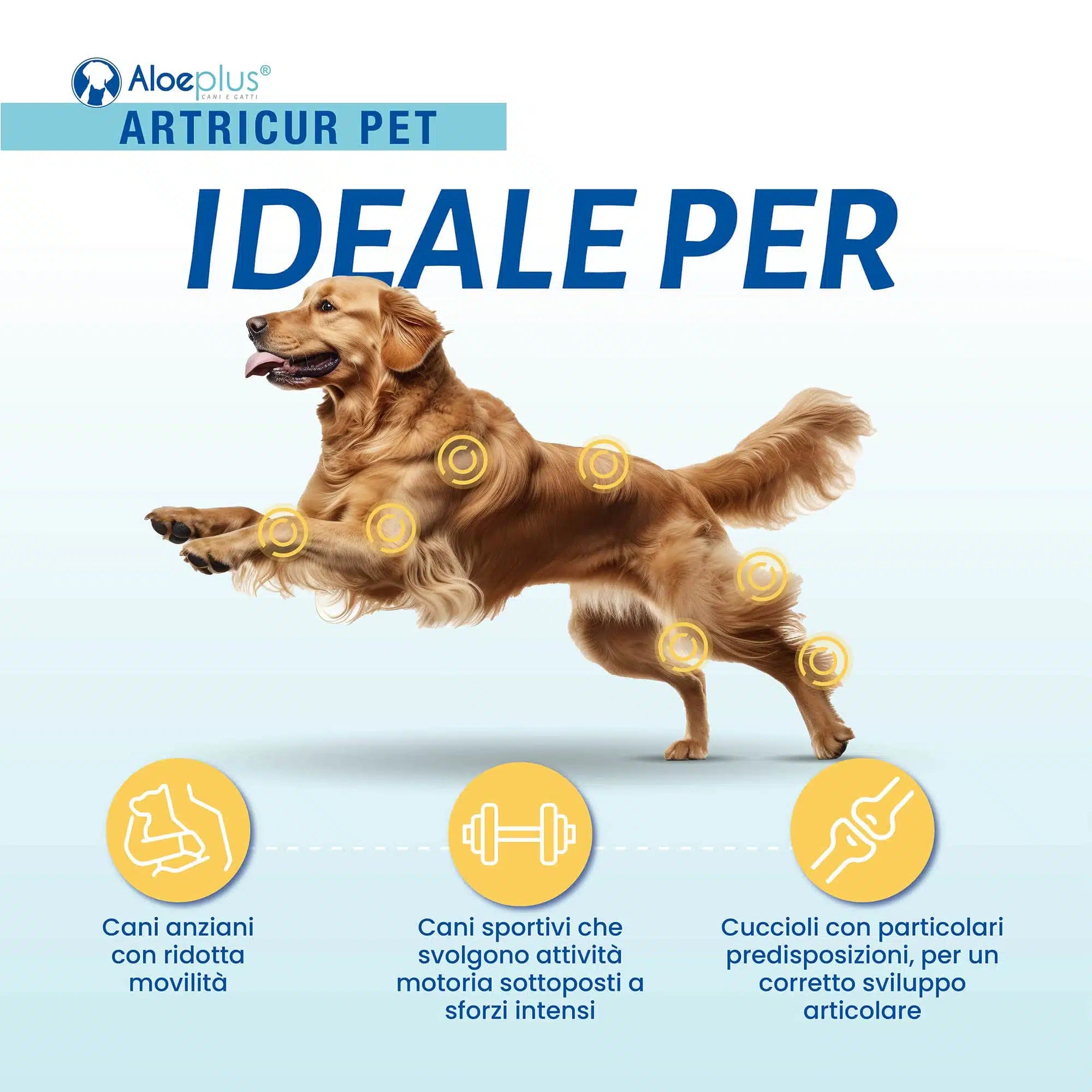 Artricur Pet Perros +11 kg