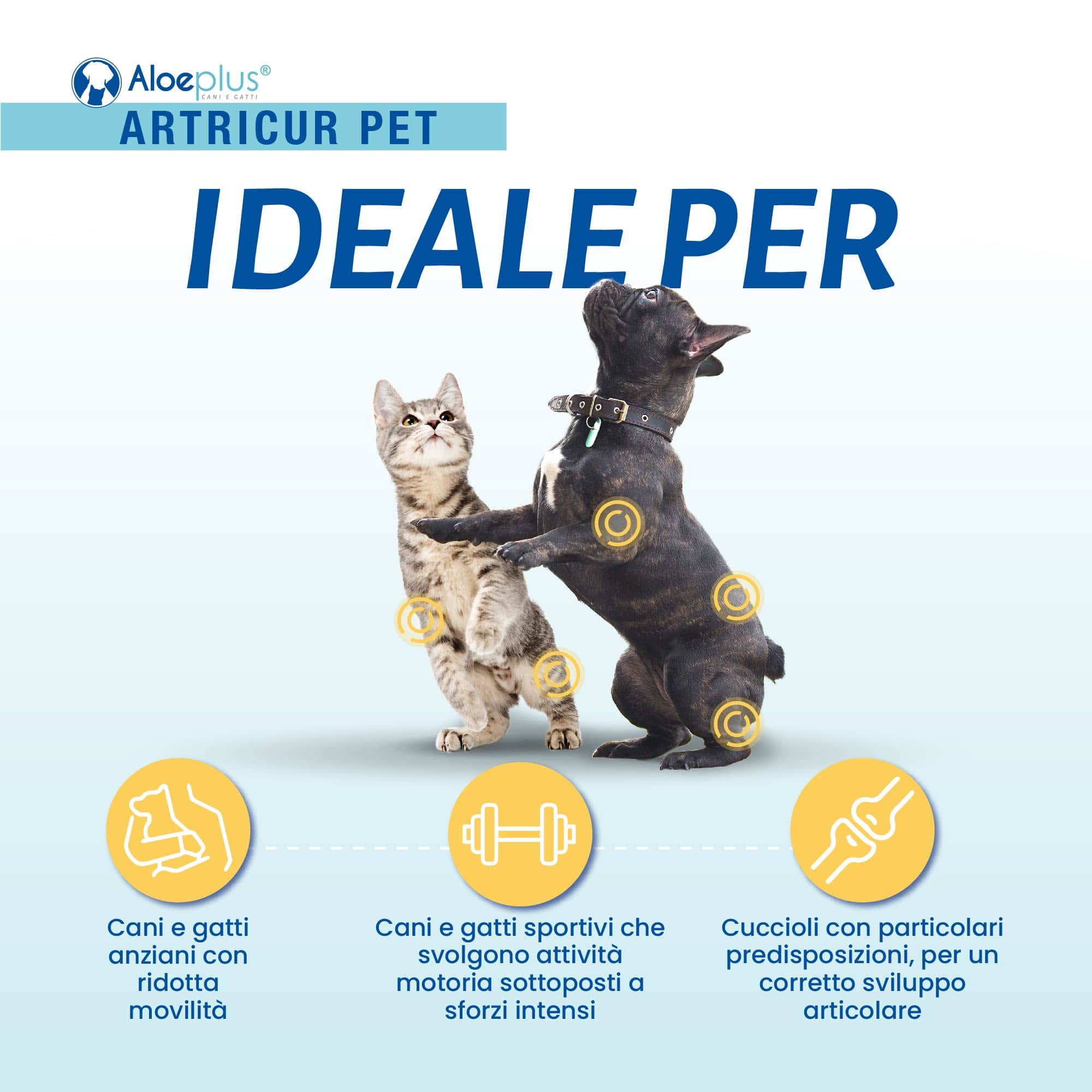 Artricur Pet Perros y gatos 0-10 kg
