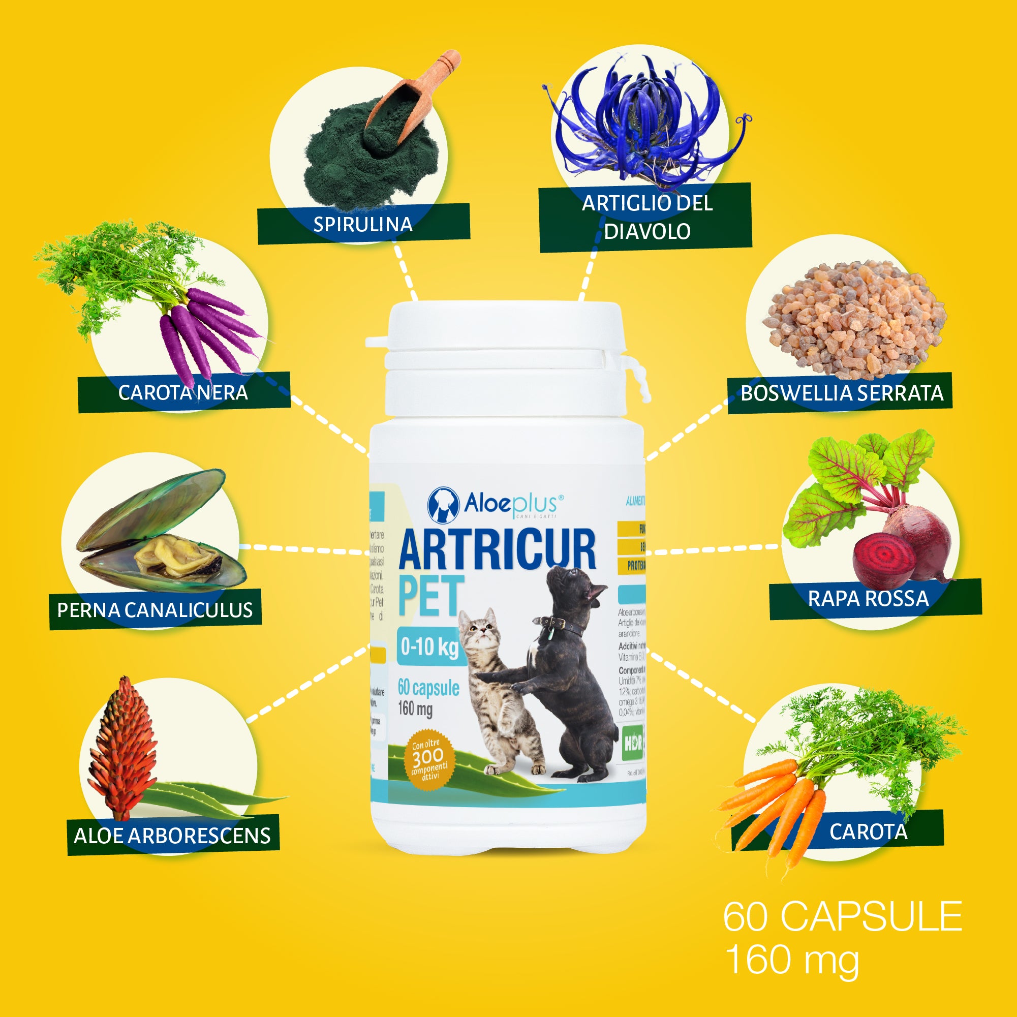 Artricur Pet Perros y gatos 0-10 kg