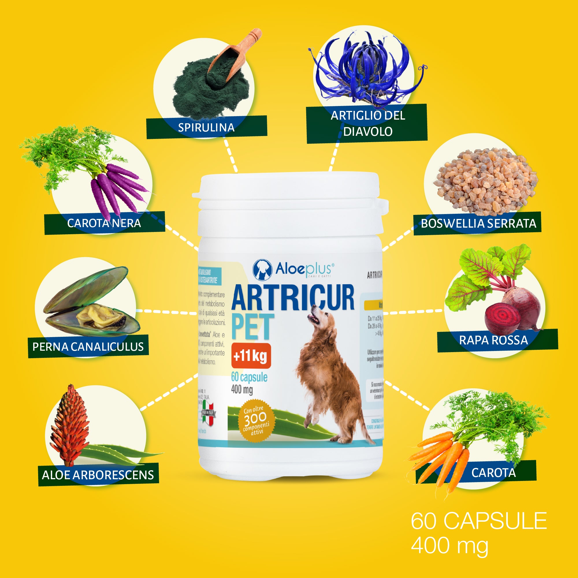 Artricur Pet Perros +11 kg