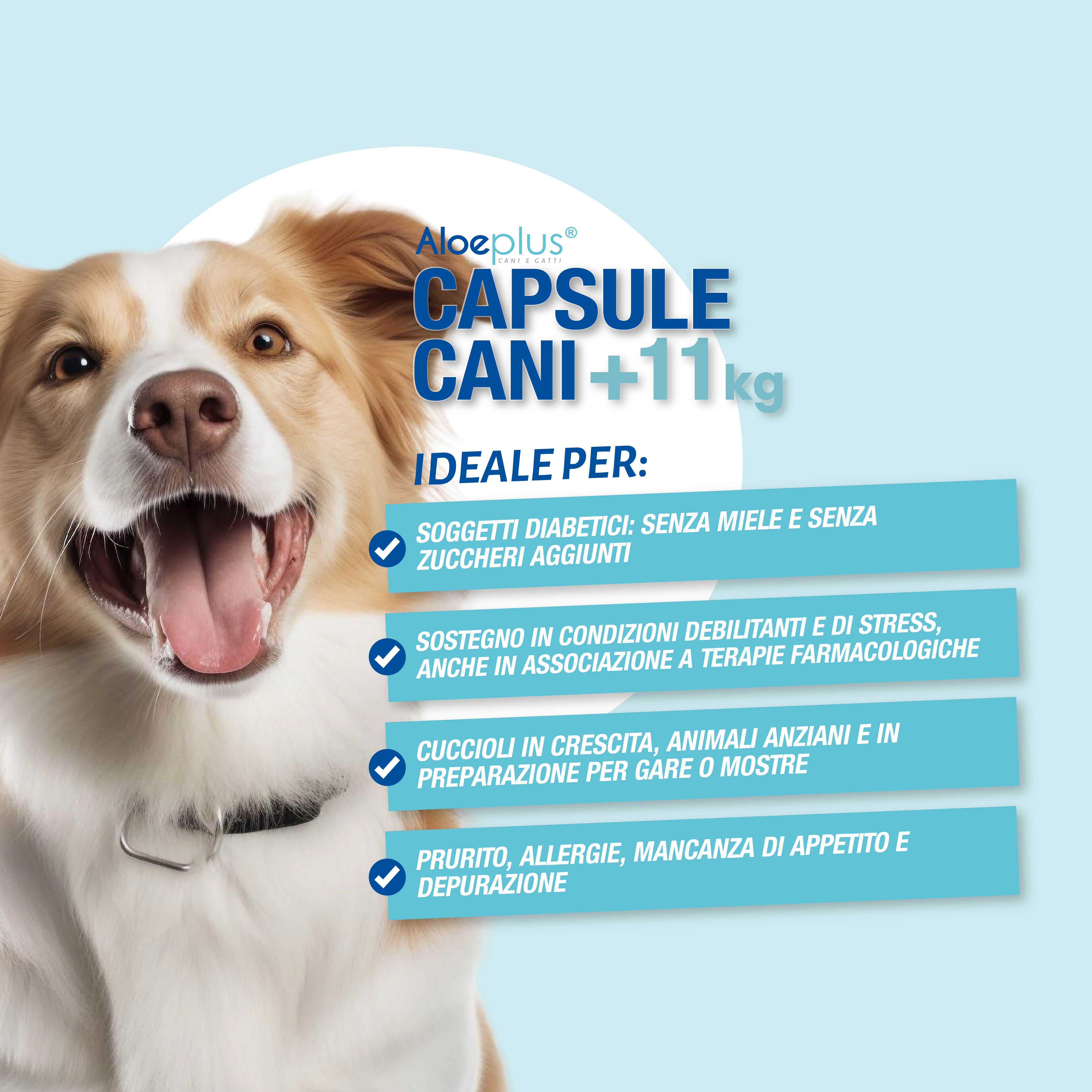 Aloeplus Kapseln Hunde 11+ kg