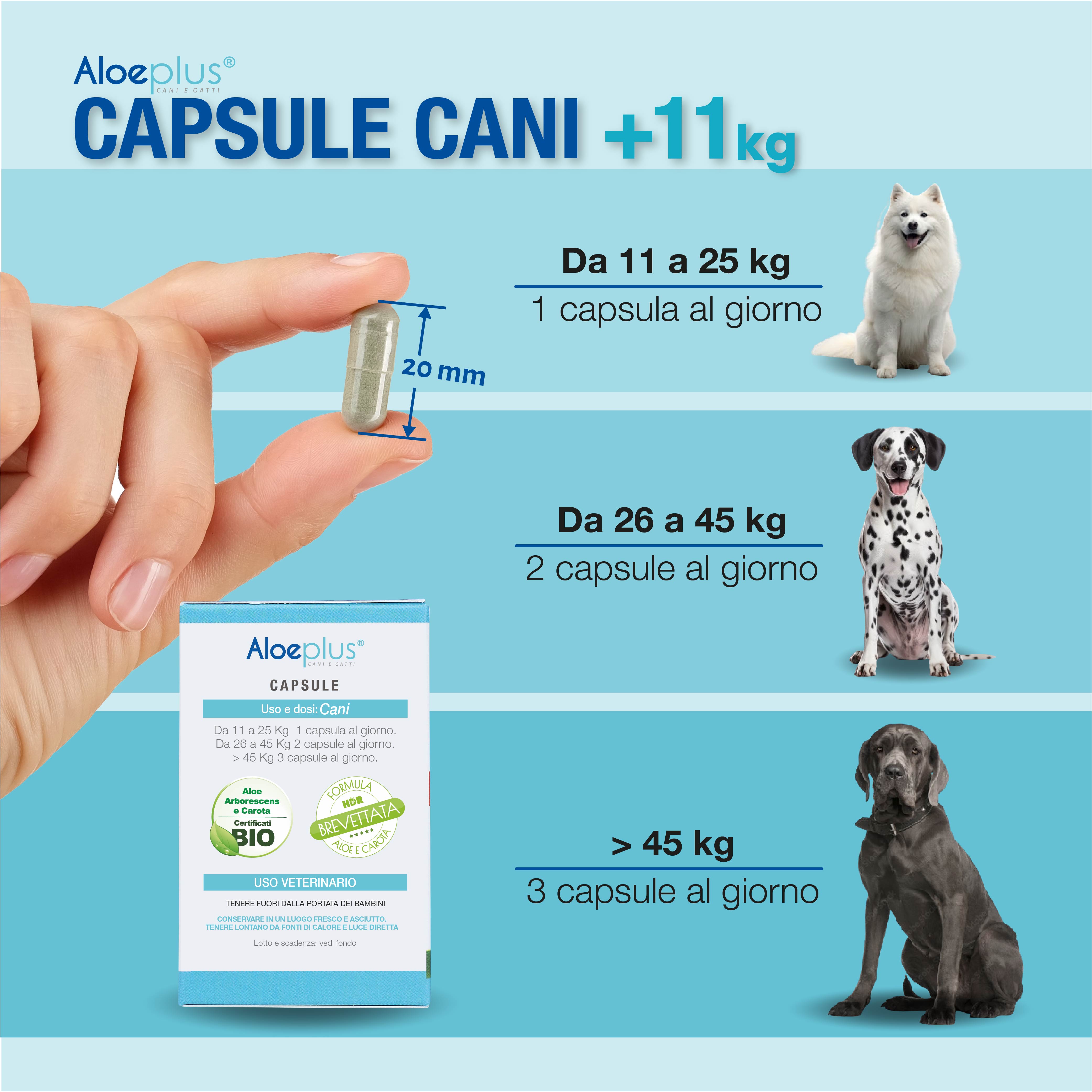 Aloeplus Kapseln Hunde 11+ kg