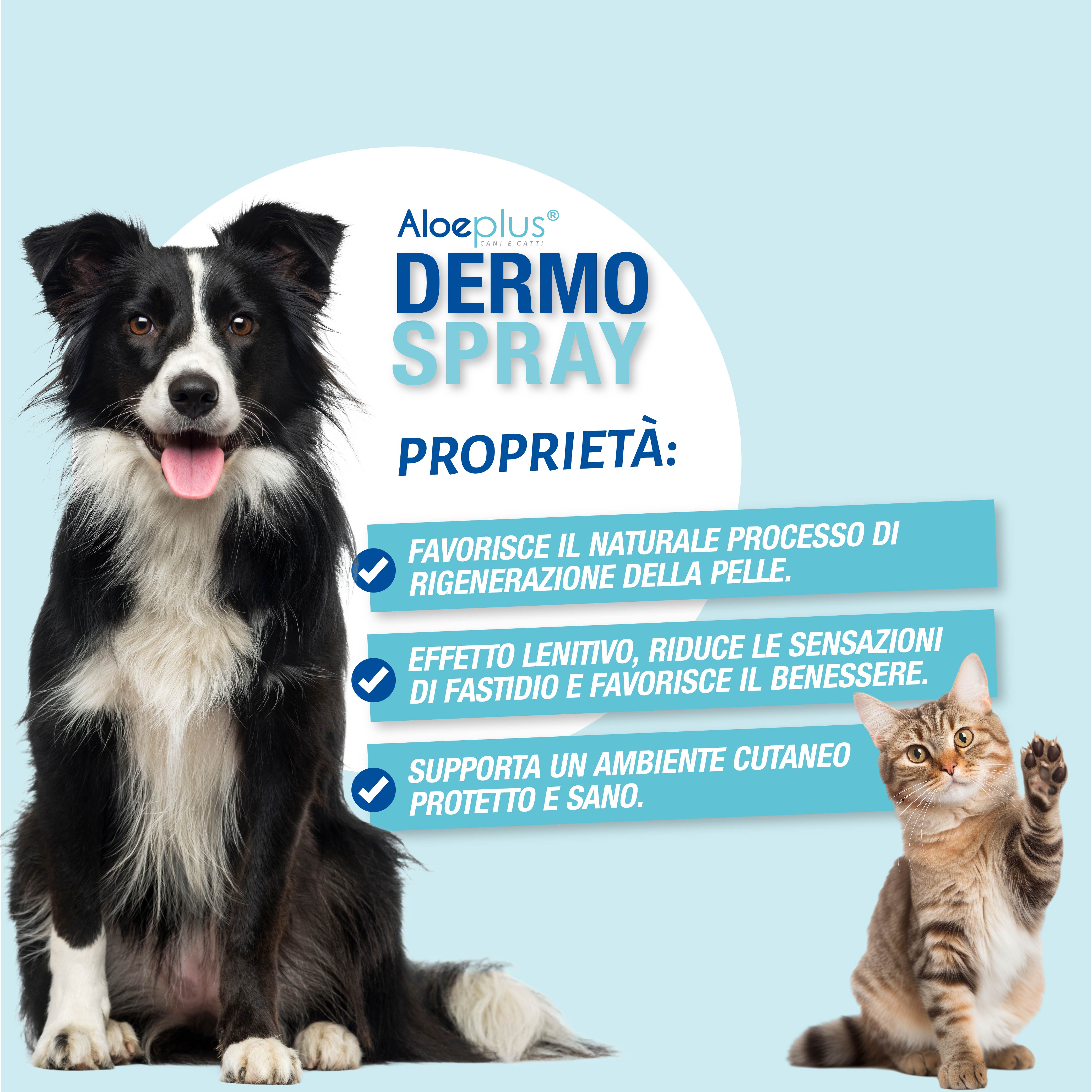 Aloeplus Spray Dermo 100 ml
