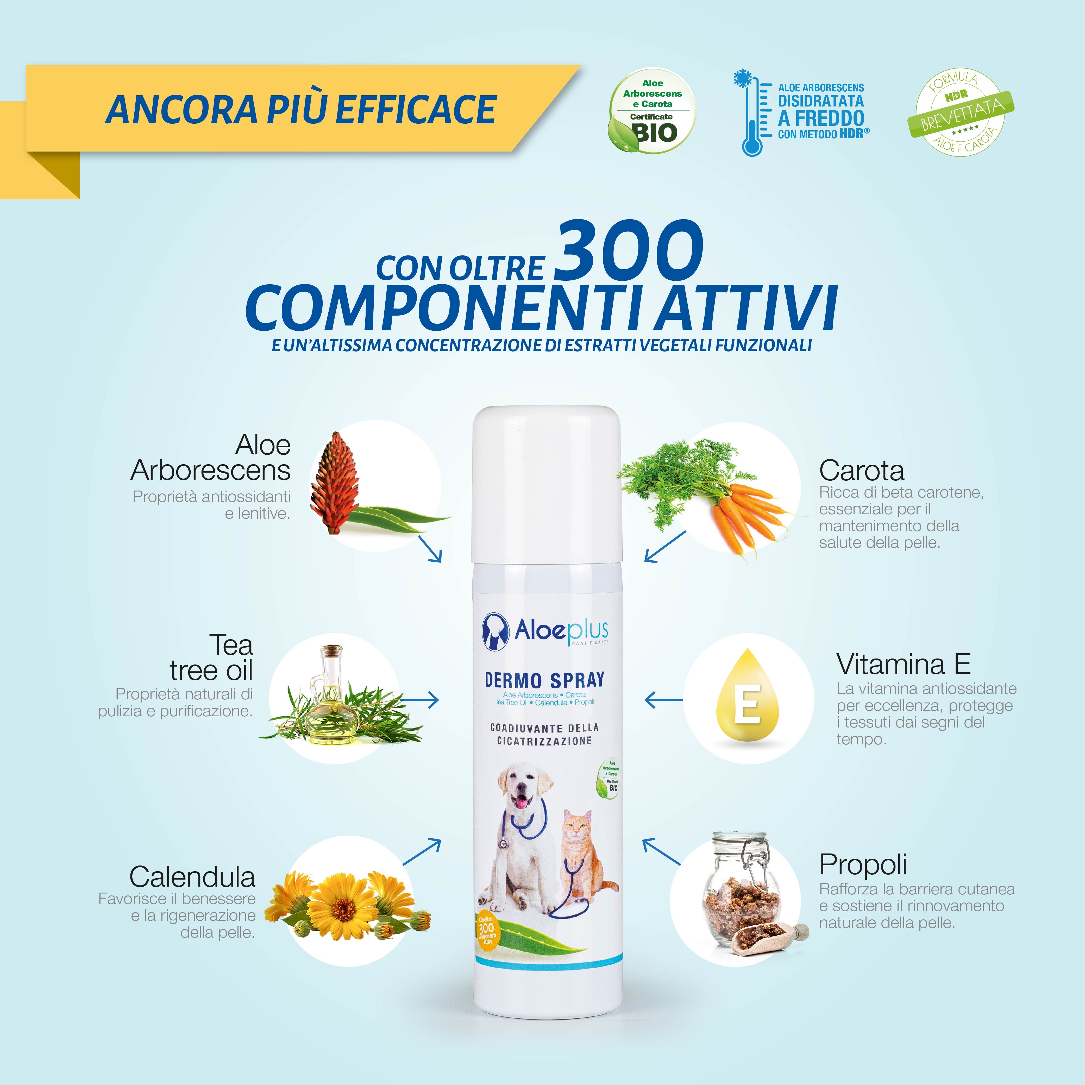 Aloeplus Spray Dermo 100 ml