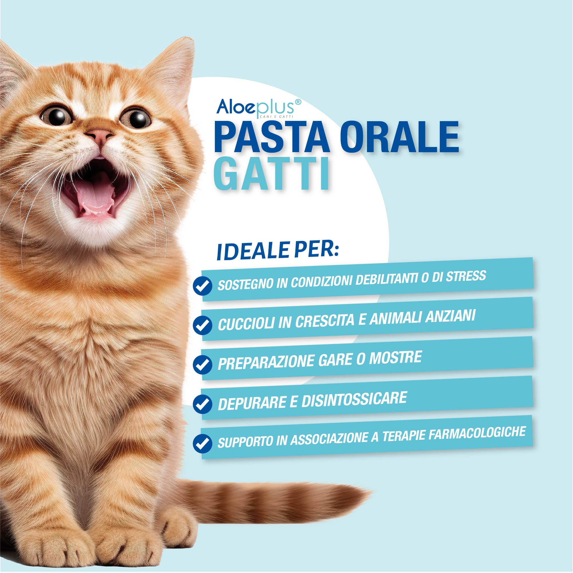 Aloeplus Pâte orale Chats