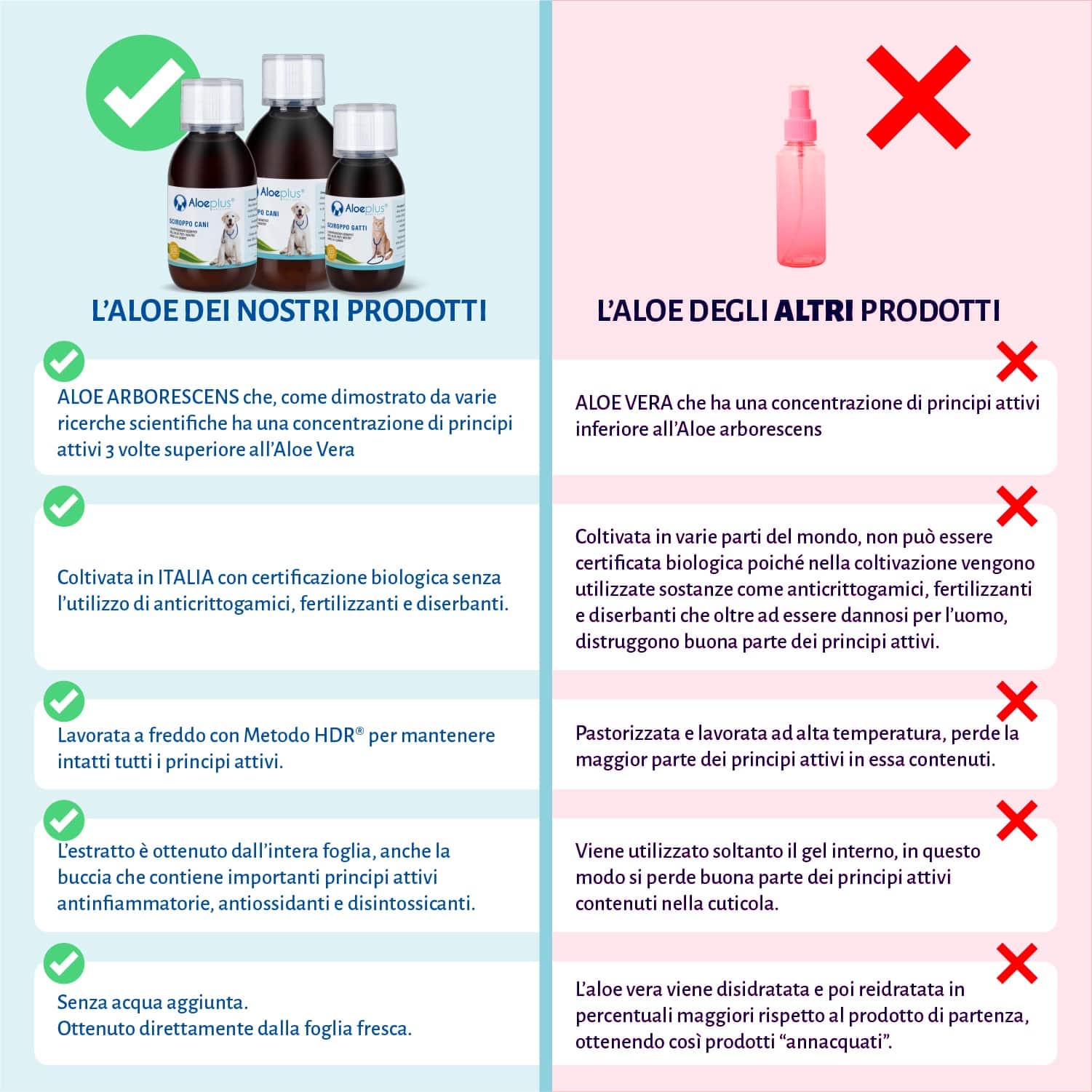 Aloeplus® Sciroppo Aloe contenuto