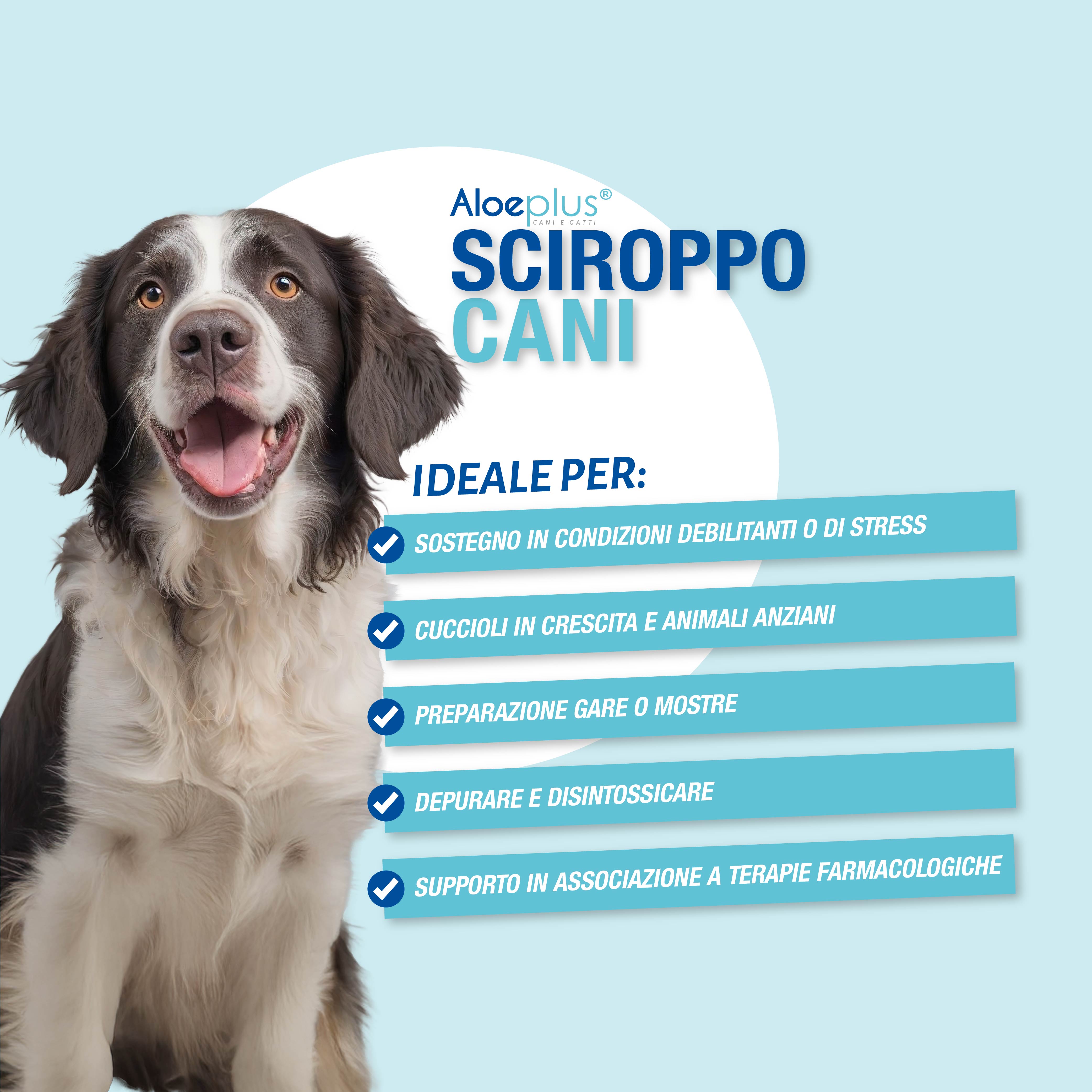 Aloeplus Sirop Chiens