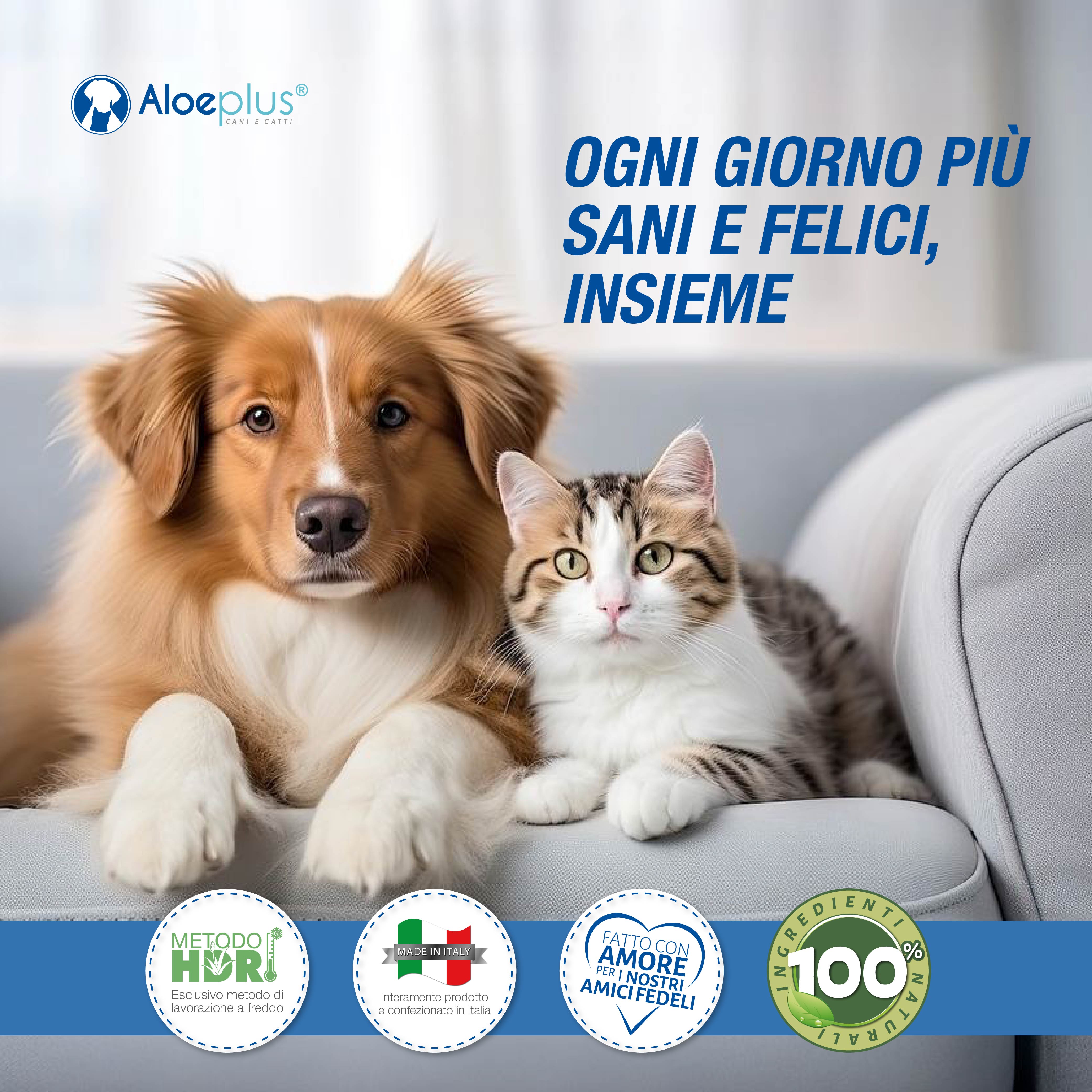 Zampet - Crème anti-dérapante pour coussinets