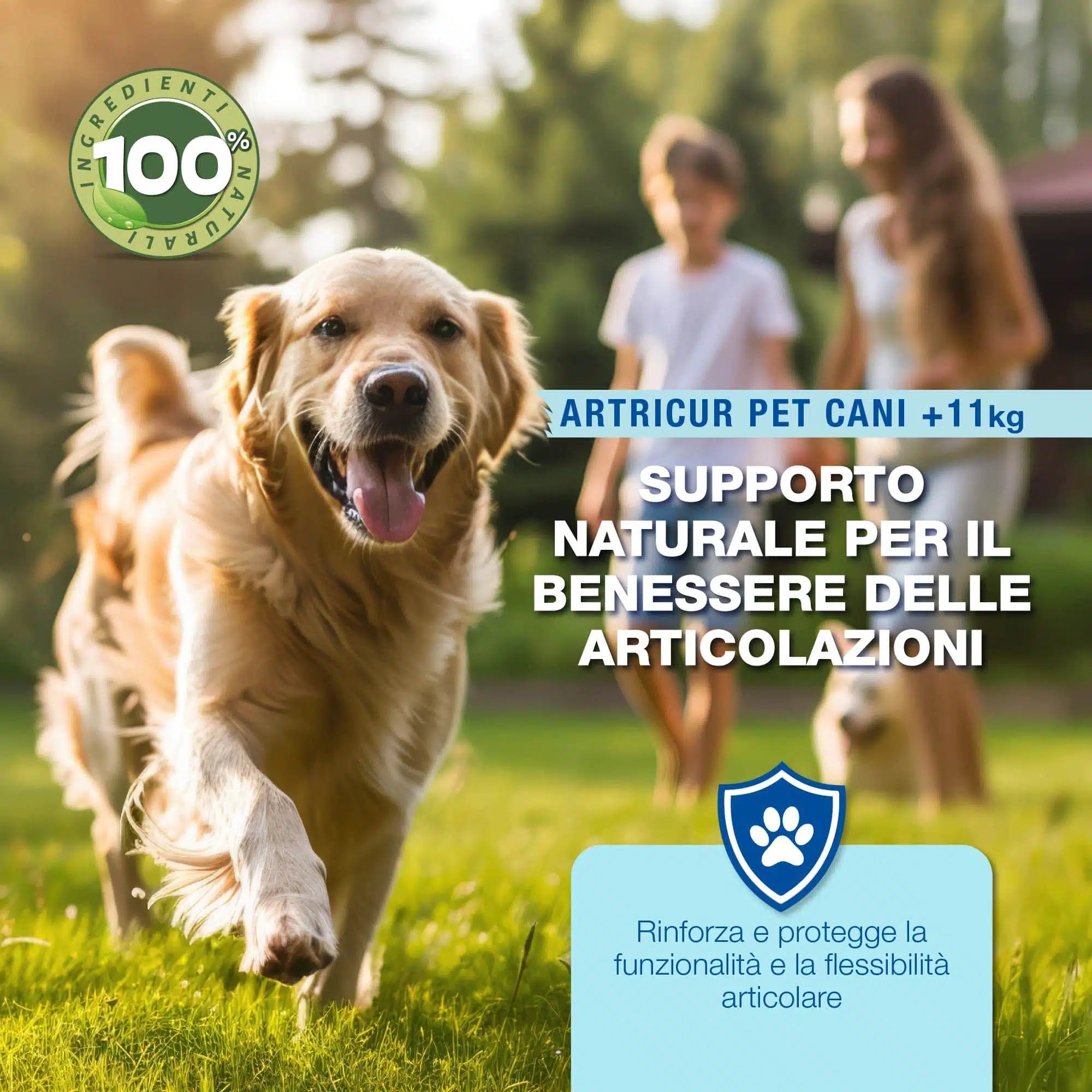 Artricur Pet Hunde +11 kg