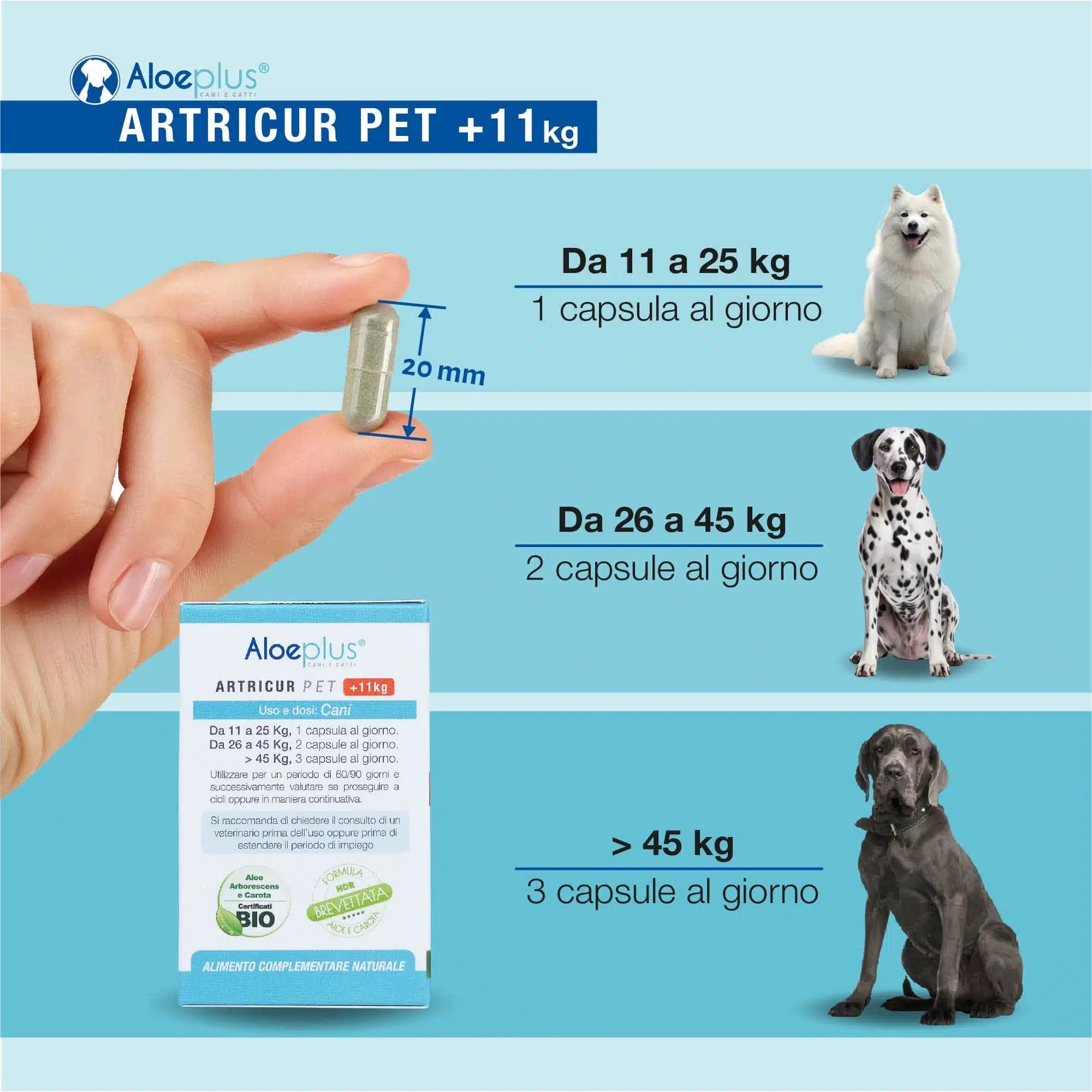 Artricur Pet Hunde +11 kg