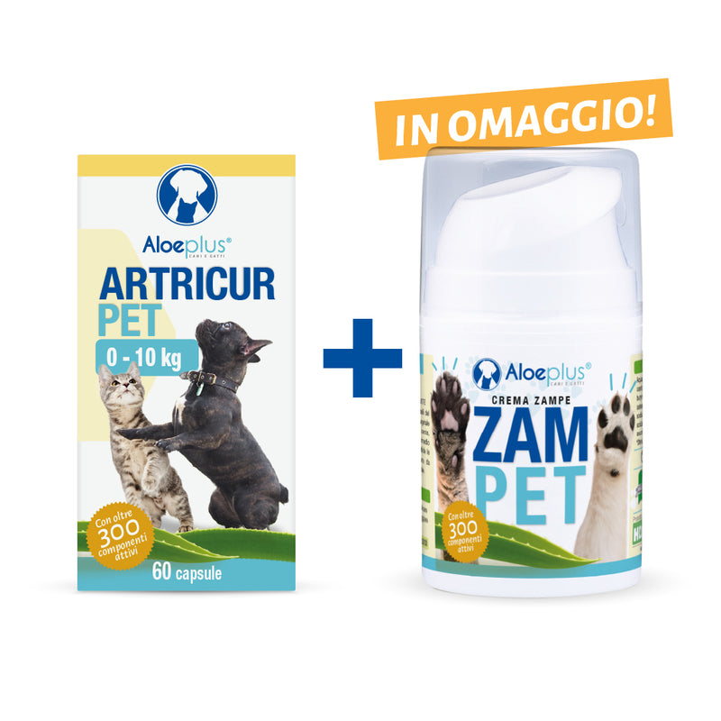 Oferta Artricur Pet 0-10 kg + Zampet 50 ml (de regalo)