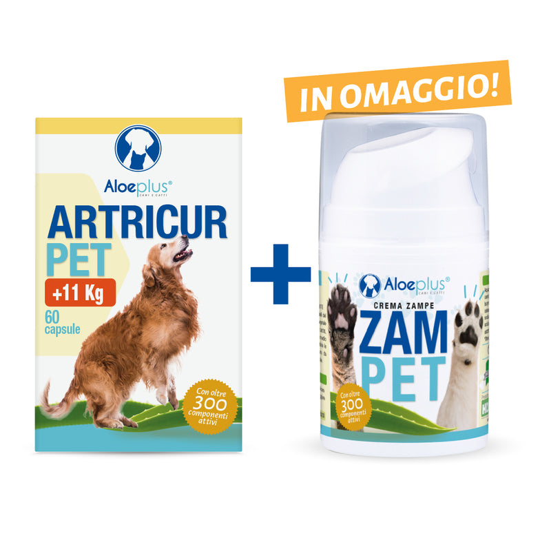 Oferta Artricur Pet +11 kg + Zampet 50 ml (de regalo)