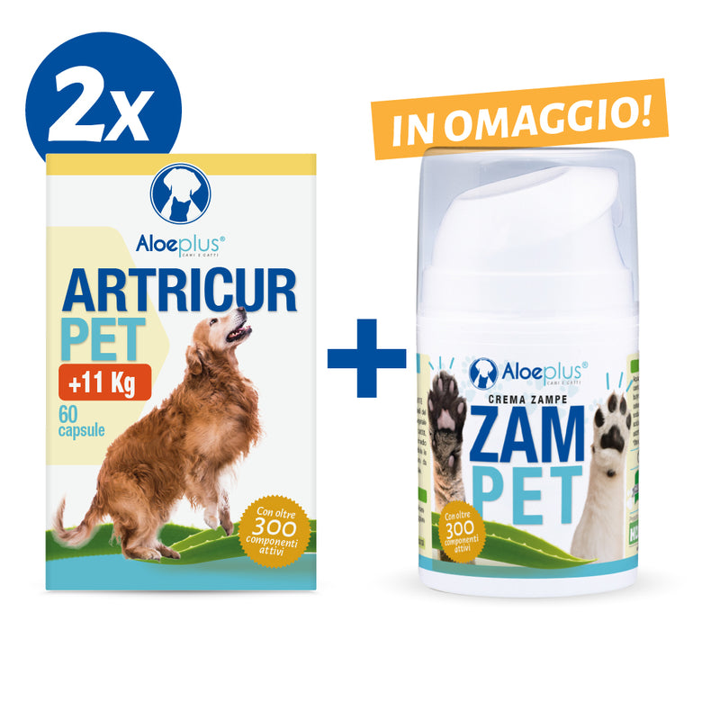 Oferta 2x Artricur Pet +11 kg + Zampet 50 ml (de regalo)