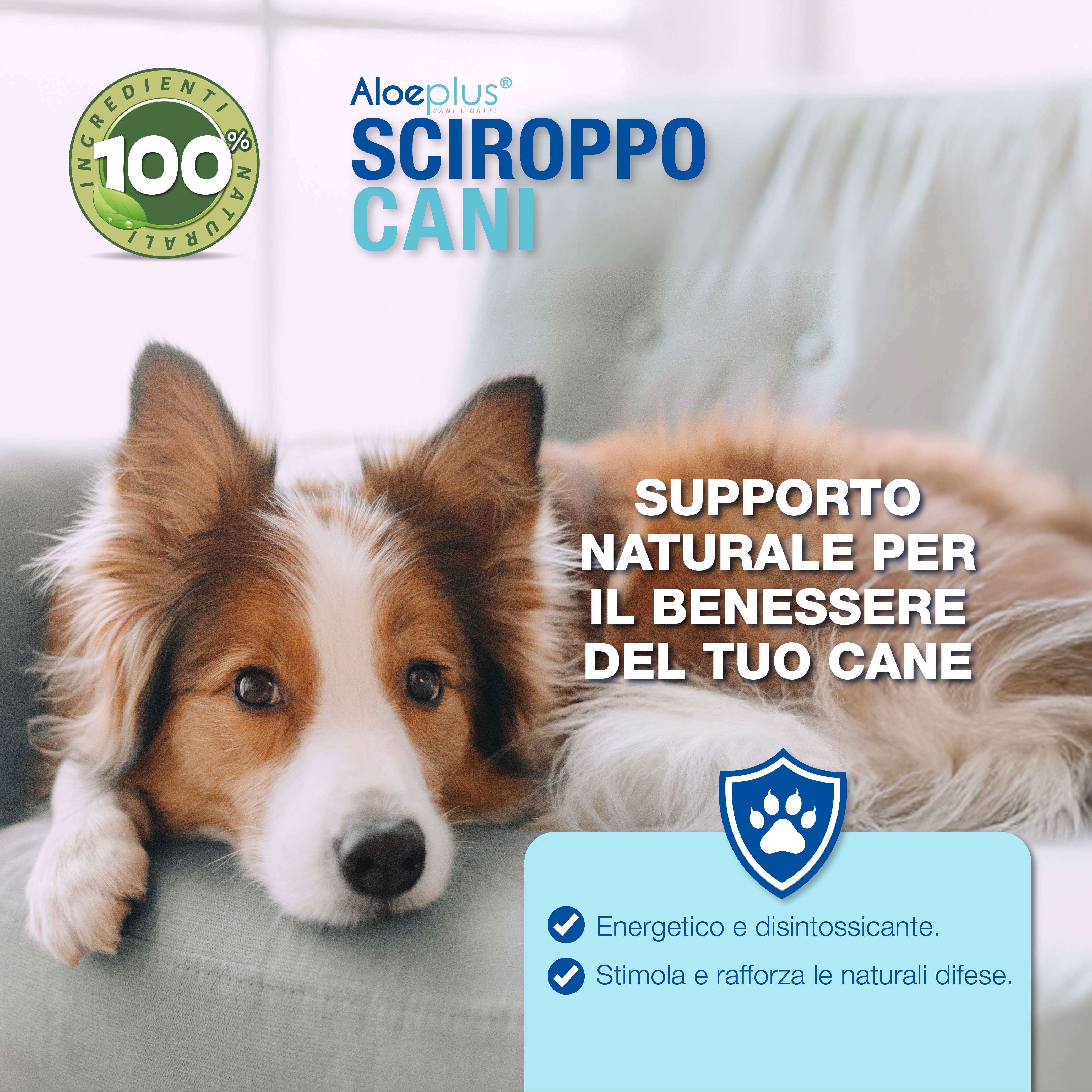 Aloeplus Sirop Chiens